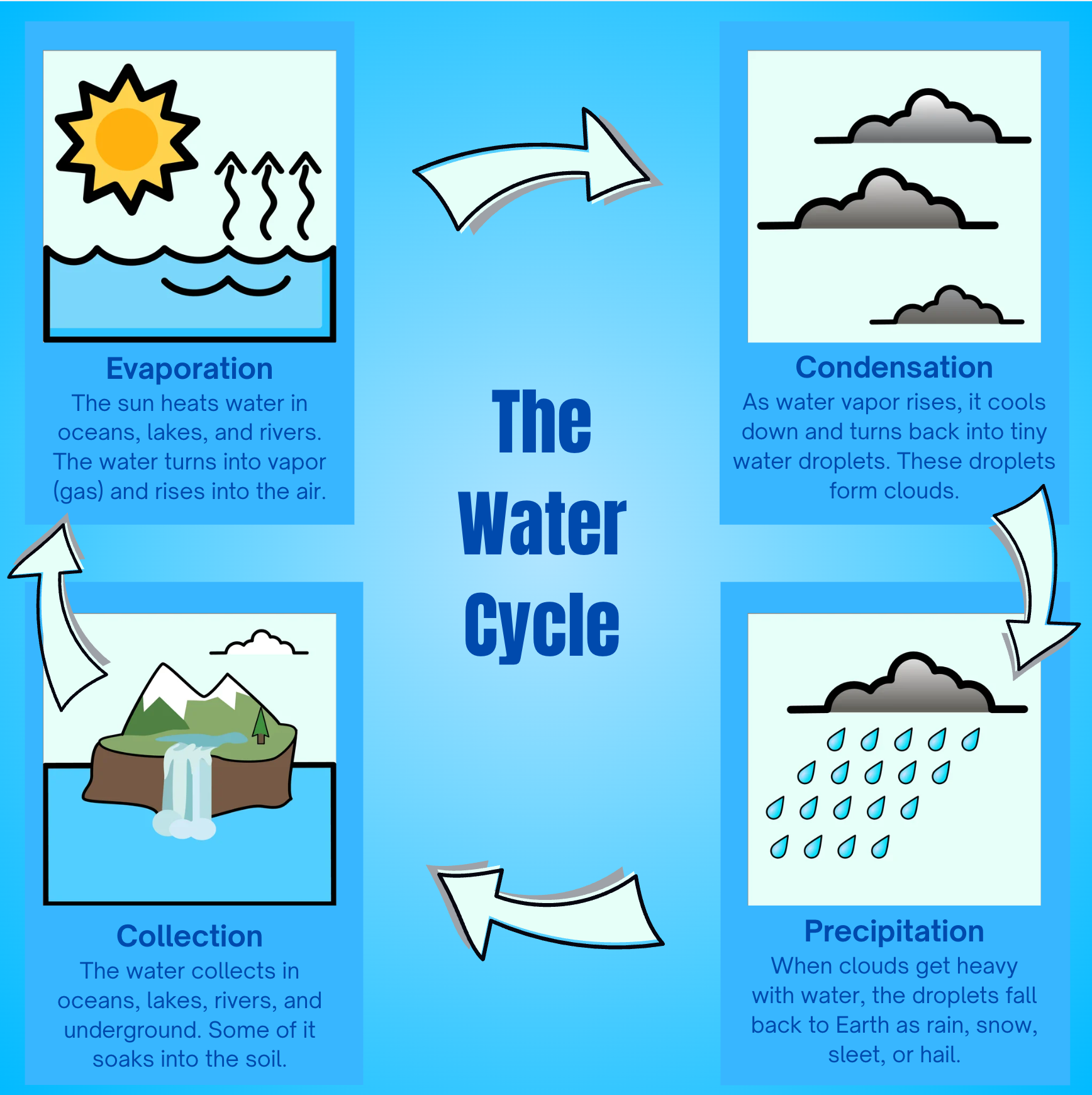 The Water Cycle