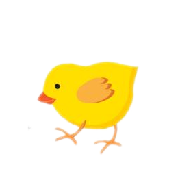 Stage Three: Chick